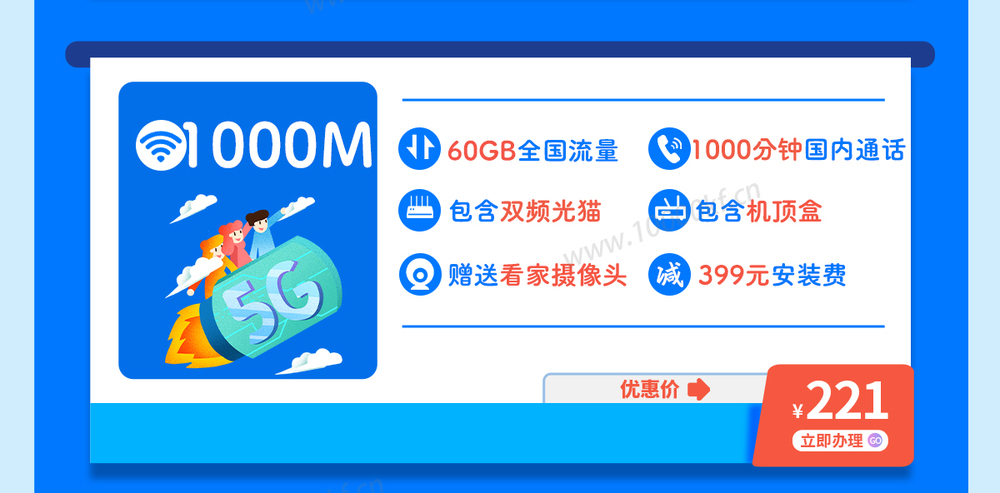 229套餐1000M(图2)